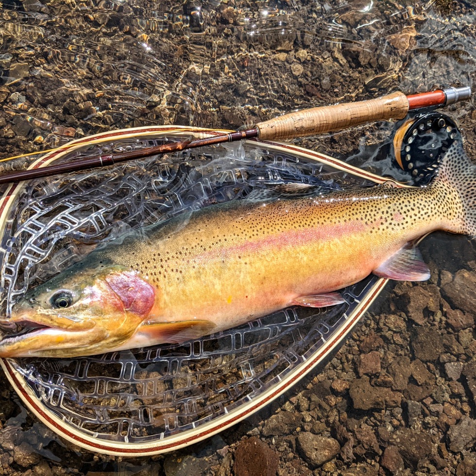 The cheapest “good” new fly reel – Wanders With Trout